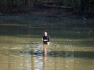 Abfischen_1