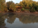 Abfischen_3