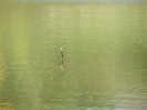 Anangeln 2006_4