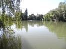 Bilder vom Angelweiher_14
