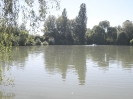Bilder Angelweiher