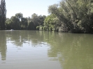 Bilder vom Angelweiher_17