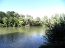 Bilder vom Angelweiher_1