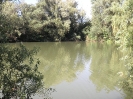 Bilder vom Angelweiher_20