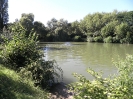 Bilder vom Angelweiher_21