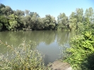 Bilder vom Angelweiher_22