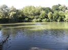 Bilder vom Angelweiher_23