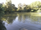 Bilder vom Angelweiher_24