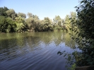 Bilder vom Angelweiher_25