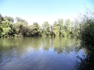 Bilder vom Angelweiher_2