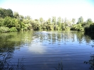 Bilder vom Angelweiher_4