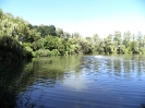 Bilder vom Angelweiher_5