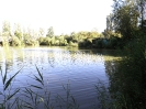 Bilder vom Angelweiher_6