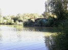 Bilder vom Angelweiher_7