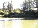 Bilder vom Angelweiher_8