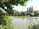 Bilder vom Angelweiher_9