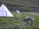 Norwegen 2004 Teil 2_263