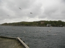 Norwegen 2004 Teil 2_45