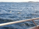 Norwegen 2004 Teil 2_53
