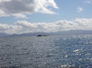 Norwegen 2004 Teil 2_91