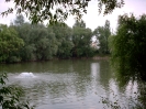 Unsortierte Bilder_10