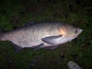 Unsortierte Bilder_4