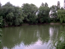 Unsortierte Bilder_8